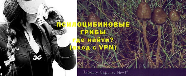 a pvp Алексеевка