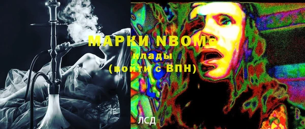 дурь Пестово