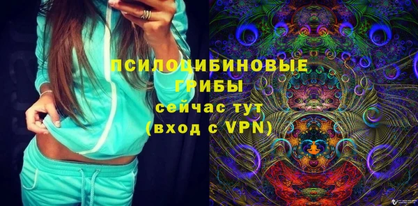 ешки Абинск
