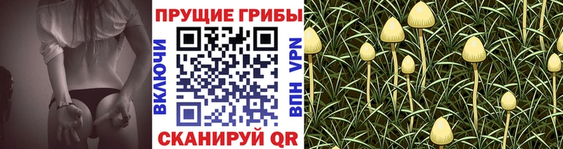 Галлюциногенные грибы мухоморы  нарко площадка Telegram  Ефремов 